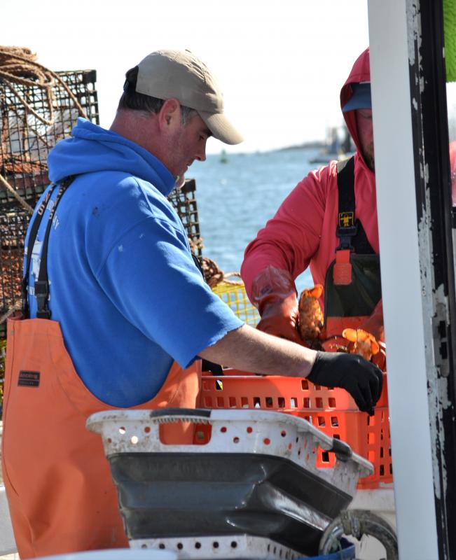 Selling lobsters from the boat during pandemic | Boothbay Register