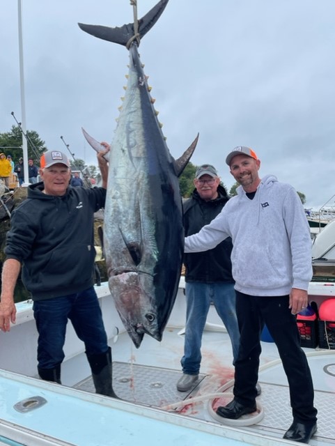 Golet receives significant, multiyear support for Atlantic bluefin tuna  tagging program from the Bass Pro Shops and Cabela's Outdoor Fund - UMaine  News - University of Maine