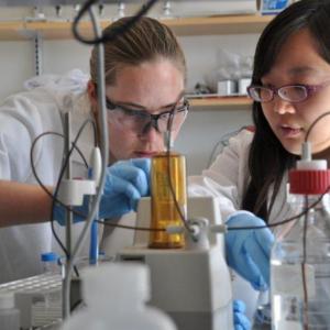 Katherine Moore, left, and Josephine Liang work together Nov. 9 at Bigelow Laboratories in East Boothbay. Moore and Liang are both participating in the semester-in-residence program through Colby College at Bigelow. BEN BULKELEY/Boothbay Register