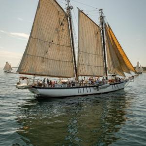 The Harvey Gamage under sail during Windjammer Days. File photo The Harvey Gamage under sail during Windjammer Days. File photo