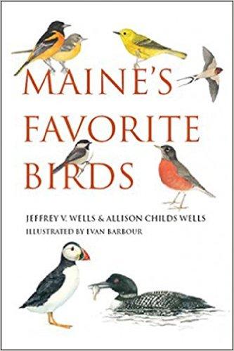 birds, maine, Jeff Wells, Allison Wells, Jeff and Allison Wells, Maine