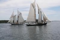 A scene from Windjammer Days past. File photo
